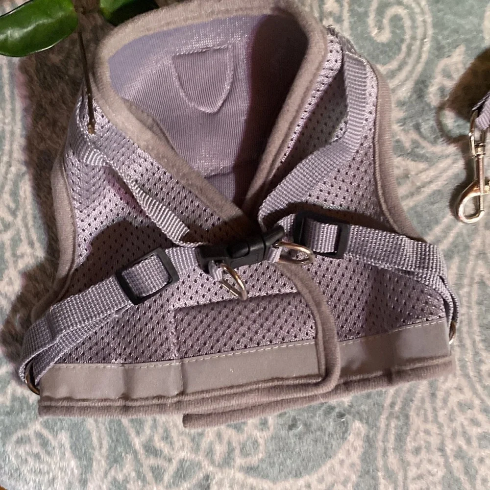 Gray Reflective Cat No Escape Harness